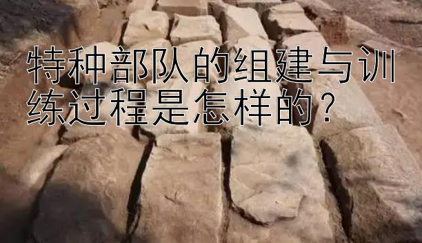 特种部队的组建与训练过程是怎样的？