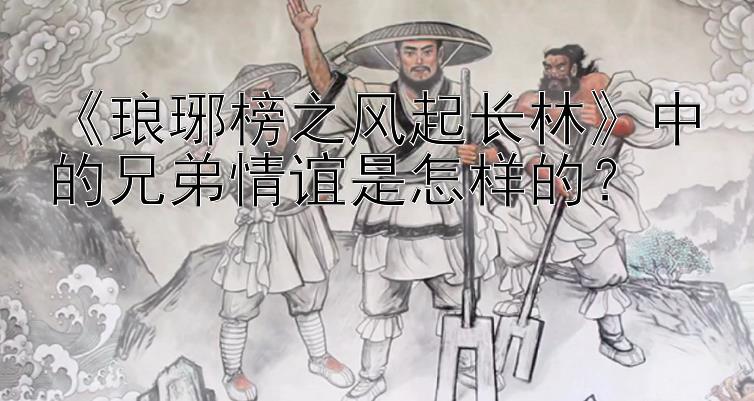 《琅琊榜之风起长林》中的兄弟情谊是怎样的？