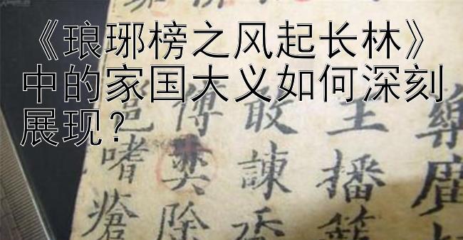 《琅琊榜之风起长林》中的家国大义如何深刻展现？