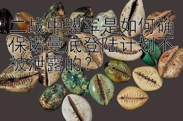 二战中盟军是如何确保诺曼底登陆计划不被泄露的？