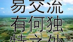 古代的海上探险与贸易交流有何独特之处？