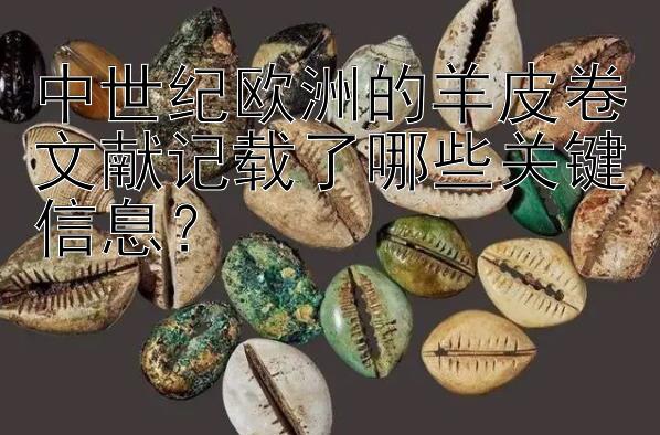 中世纪欧洲的羊皮卷文献记载了哪些关键信息？