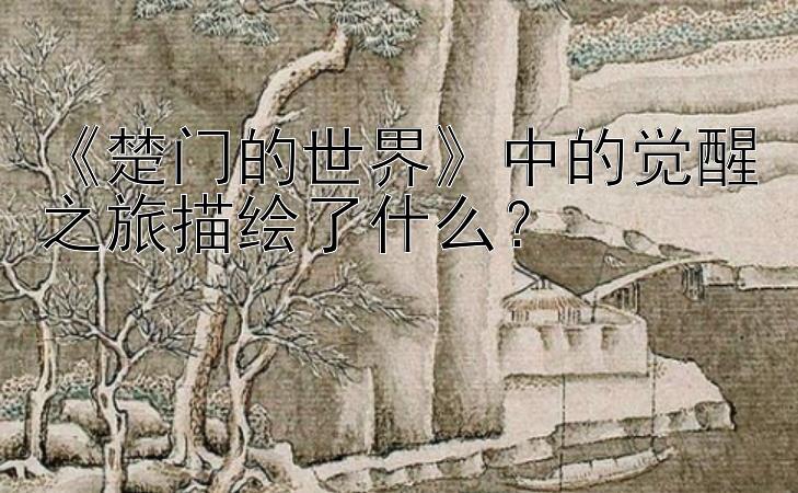 《楚门的世界》中的觉醒之旅描绘了什么？