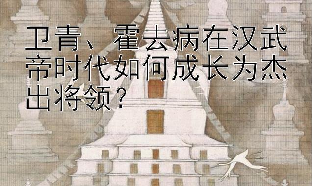 卫青、霍去病在汉武帝时代如何成长为杰出将领？