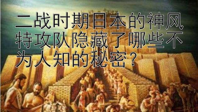 二战时期日本的神风特攻队隐藏了哪些不为人知的秘密？