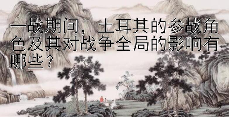 一战期间，土耳其的参战角色及其对战争全局的影响有哪些？