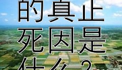 亚历山大大帝的真正死因是什么？