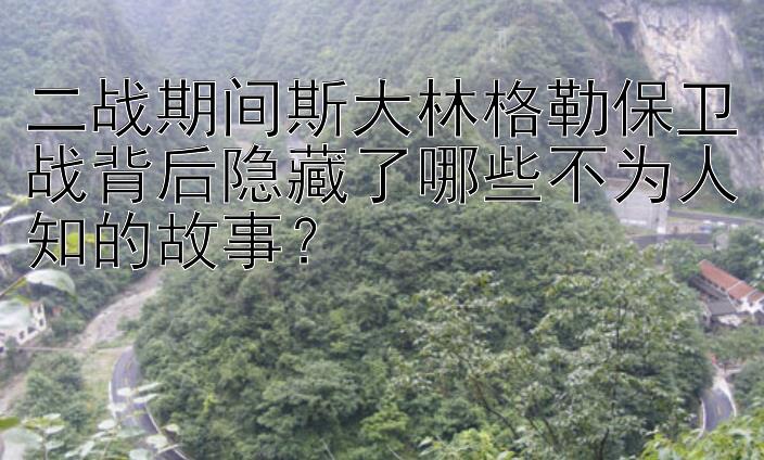 二战期间斯大林格勒保卫战背后隐藏了哪些不为人知的故事？