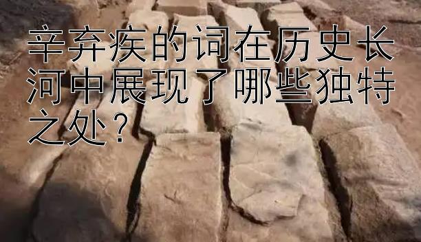 辛弃疾的词在历史长河中展现了哪些独特之处？