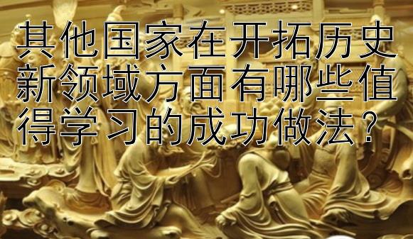 其他国家在开拓历史新领域方面有哪些值得学习的成功做法？