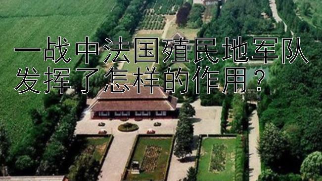 一战中法国殖民地军队发挥了怎样的作用？