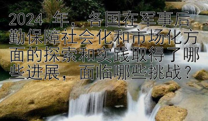 2024 年，各国在军事后勤保障社会化和市场化方面的探索和实践取得了哪些进展，面临哪些挑战？