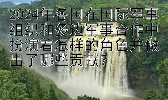 2024年各国在国际军事组织和多边军事合作中扮演着怎样的角色并做出了哪些贡献？