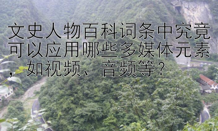 文史人物百科词条中究竟可以应用哪些多媒体元素，如视频、音频等？