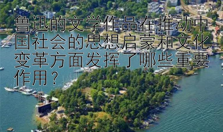 鲁迅的文学作品在推动中国社会的思想启蒙和文化变革方面发挥了哪些重要作用？